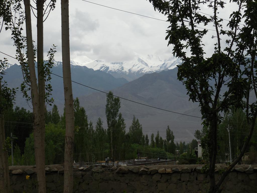 Sangto Green Guest House Leh Exterior photo